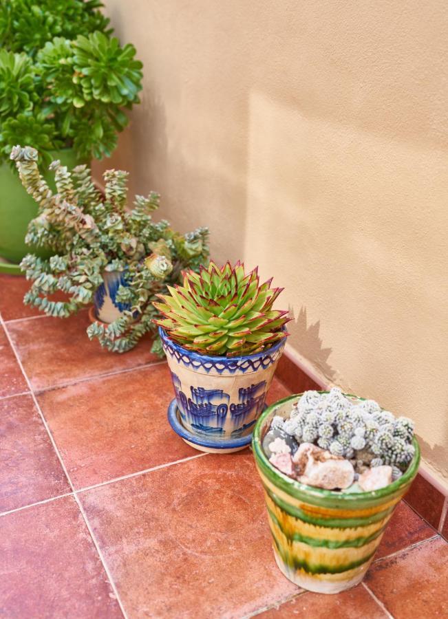 El Agave 厄尔·波索·德·洛斯·弗莱尔 外观 照片